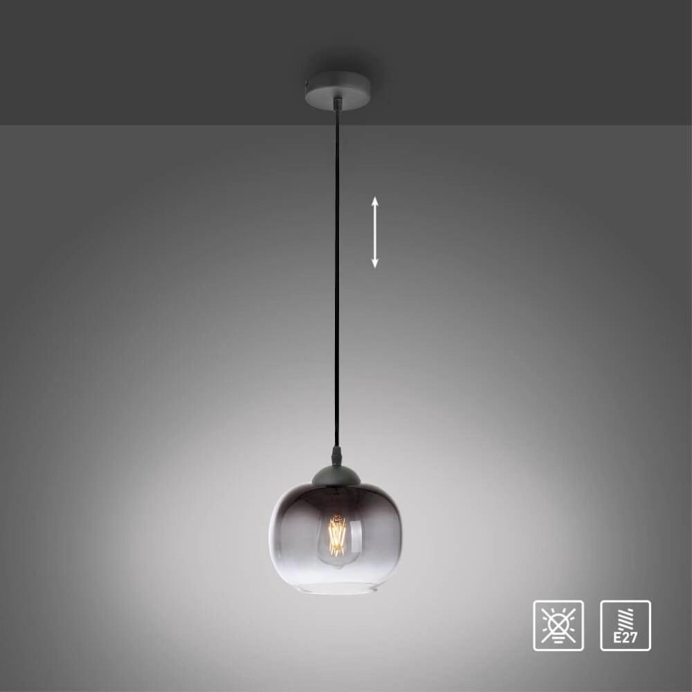 Schwarze Hängelampe Zea einzel Just Light 4043689993740