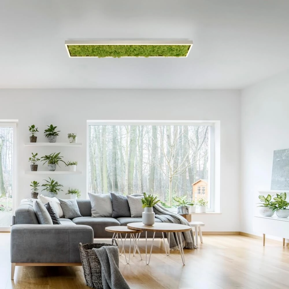 Rechteckige Deckenleuchte Green Knut mit Moos Just Light 4043689994846