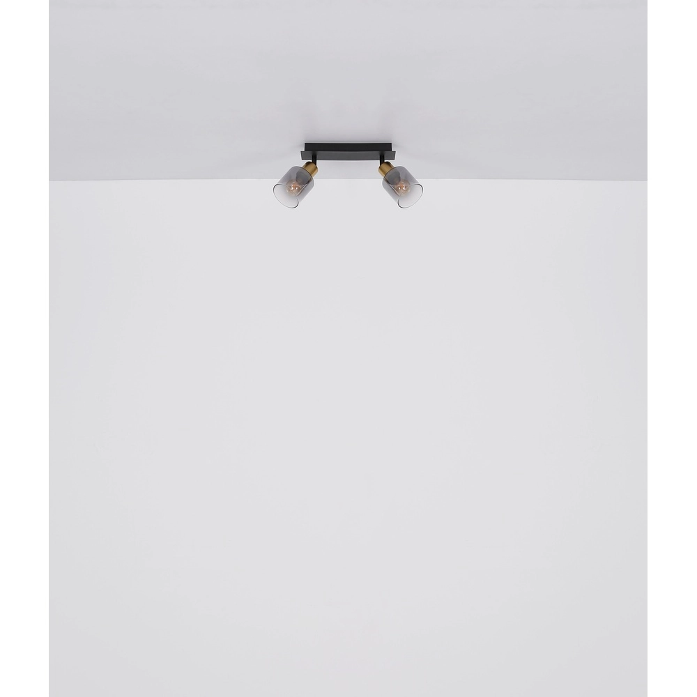 2-Licht Deckenlampe Hollsy Schwarz mit Rauchglas Globo 9007371445851