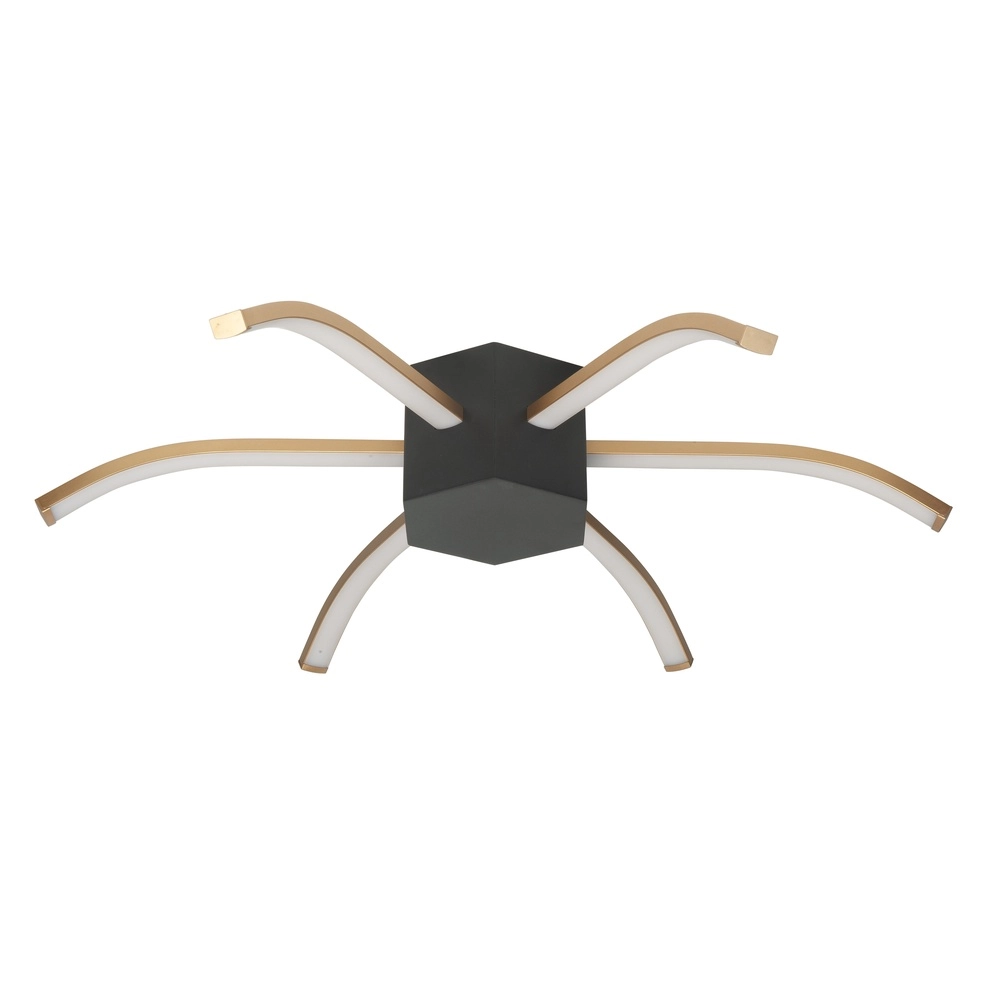 Design-Deckenleuchte Spider schwarz mit gold Ø 60cm