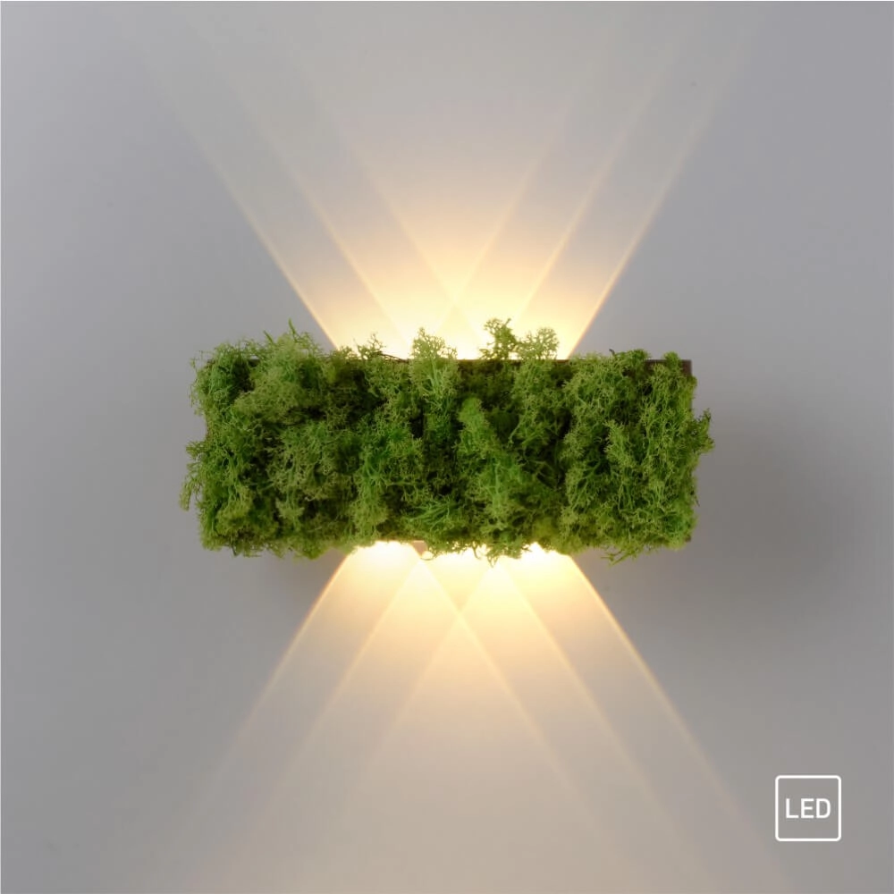 Rechteckige Deckenleuchte Green Carlo mit Moos Just Light 4043689994853