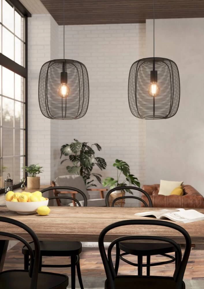 Hängelampe mit 2 Leuchten Rinroe Design schwarz Eglo 9002759439668