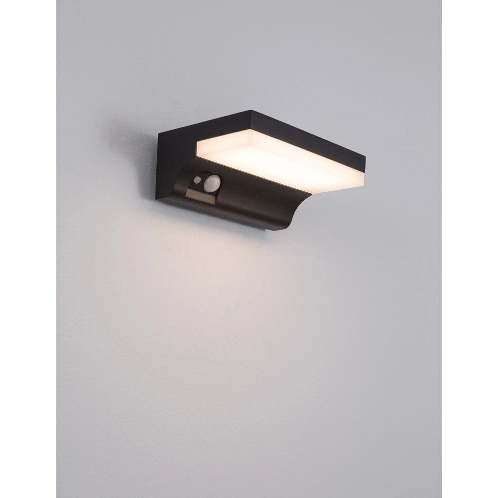 Solar-Wandleuchte Dyn mit Sensor