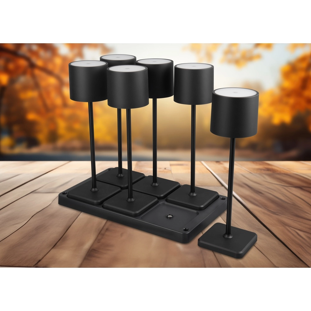 Set mit 6 Tischlampen Fernandez schwarz Trio 4017807601688