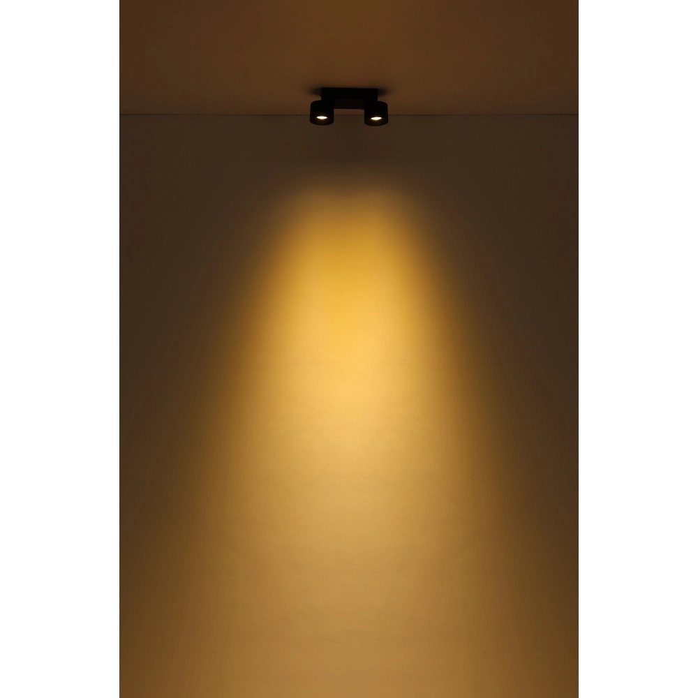 Elegante Deckenlampe Rae 2-Licht Schwarz Globo 9007371447640
