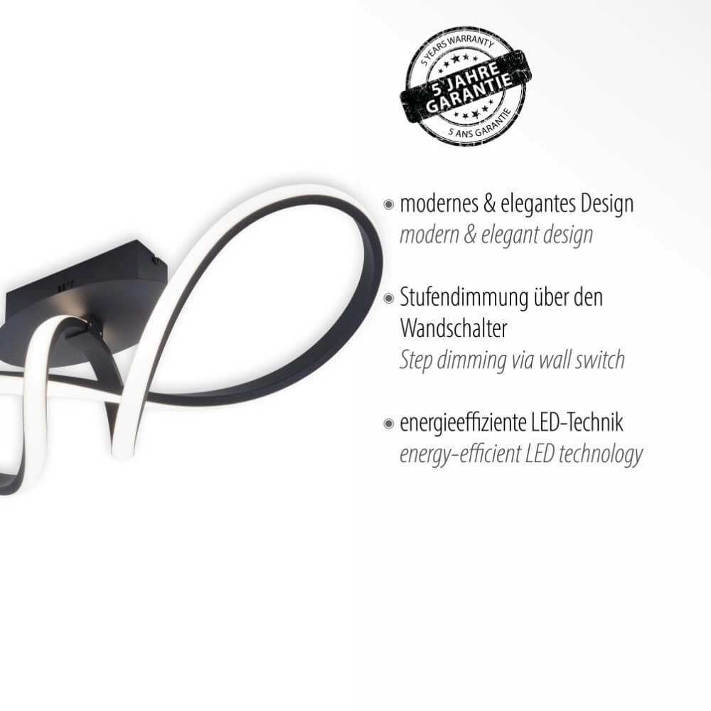 Designer-Deckenleuchte Maria Schwarz Just Light 4043689975777