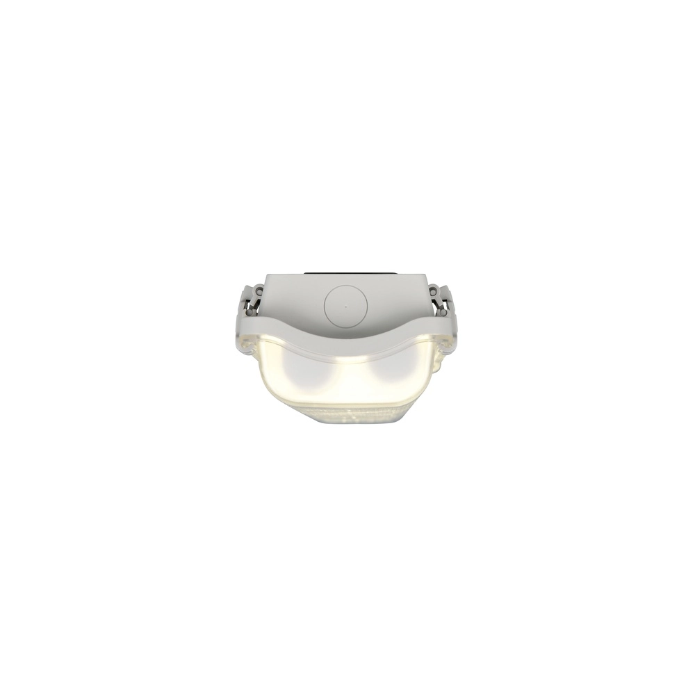 Leuchtstofflampe Tres 66,5 cm grau – IP65 Trio 4017807711363