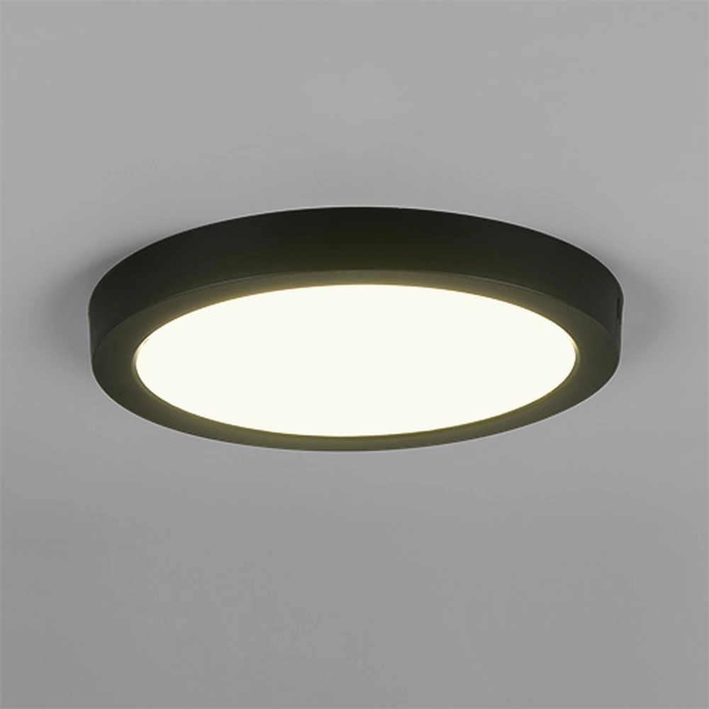 Deckenlampe Laru Ø 28,9 cm schwarz Trio 4017807711547