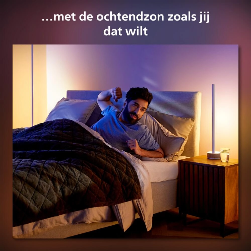 Intelligente Stehlampe Hue Signe - White and color Philips 8719514433526