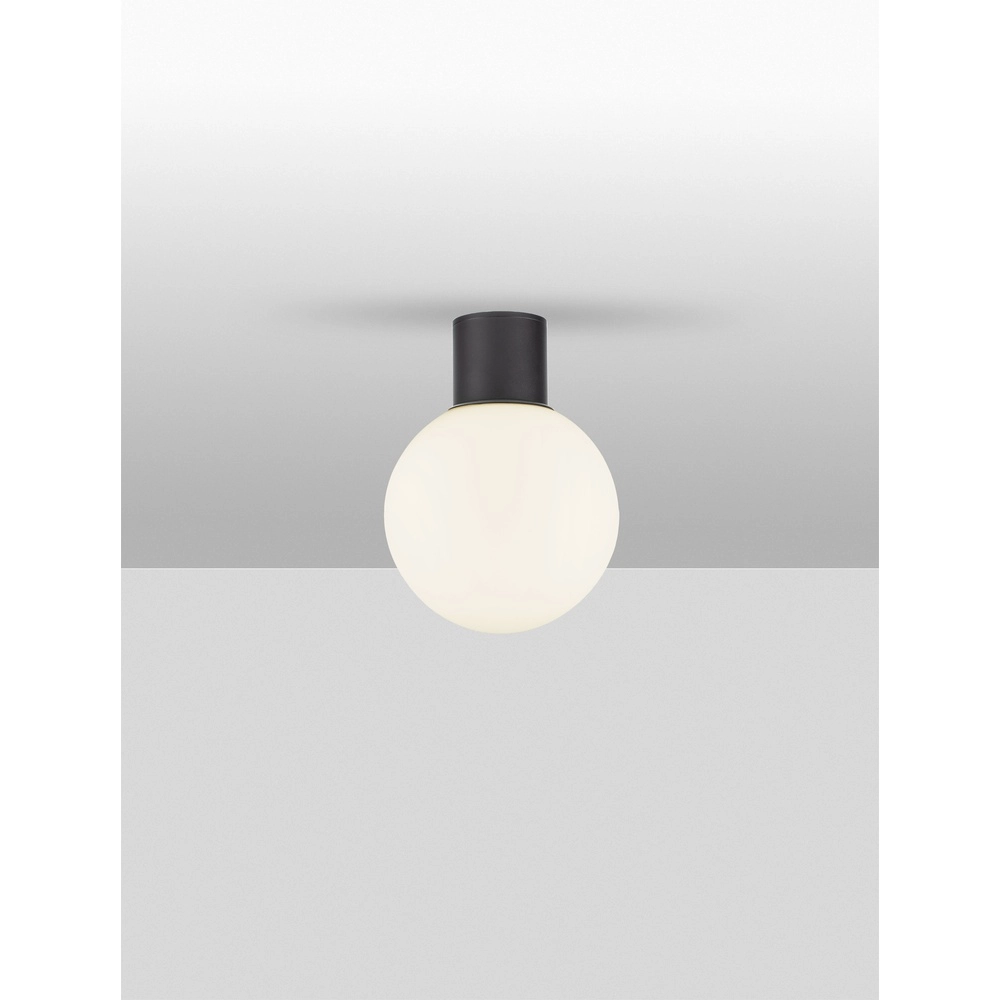 Deckenlampe Spix anthrazit mit weißem konvexem Glas Lyora 5212017476432