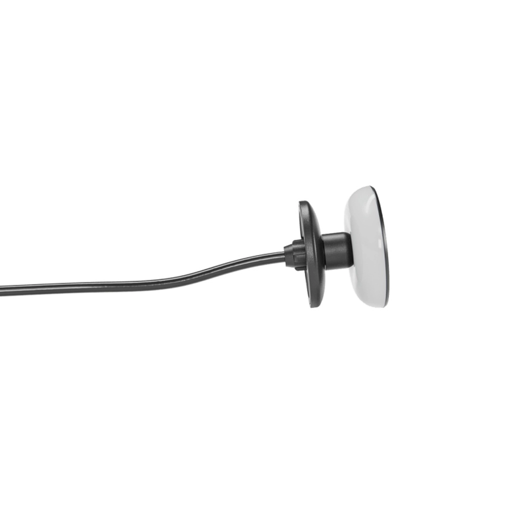 12-Volt-Wandlampe Mini Sway Wall Schwarz In-lite 8717051005435