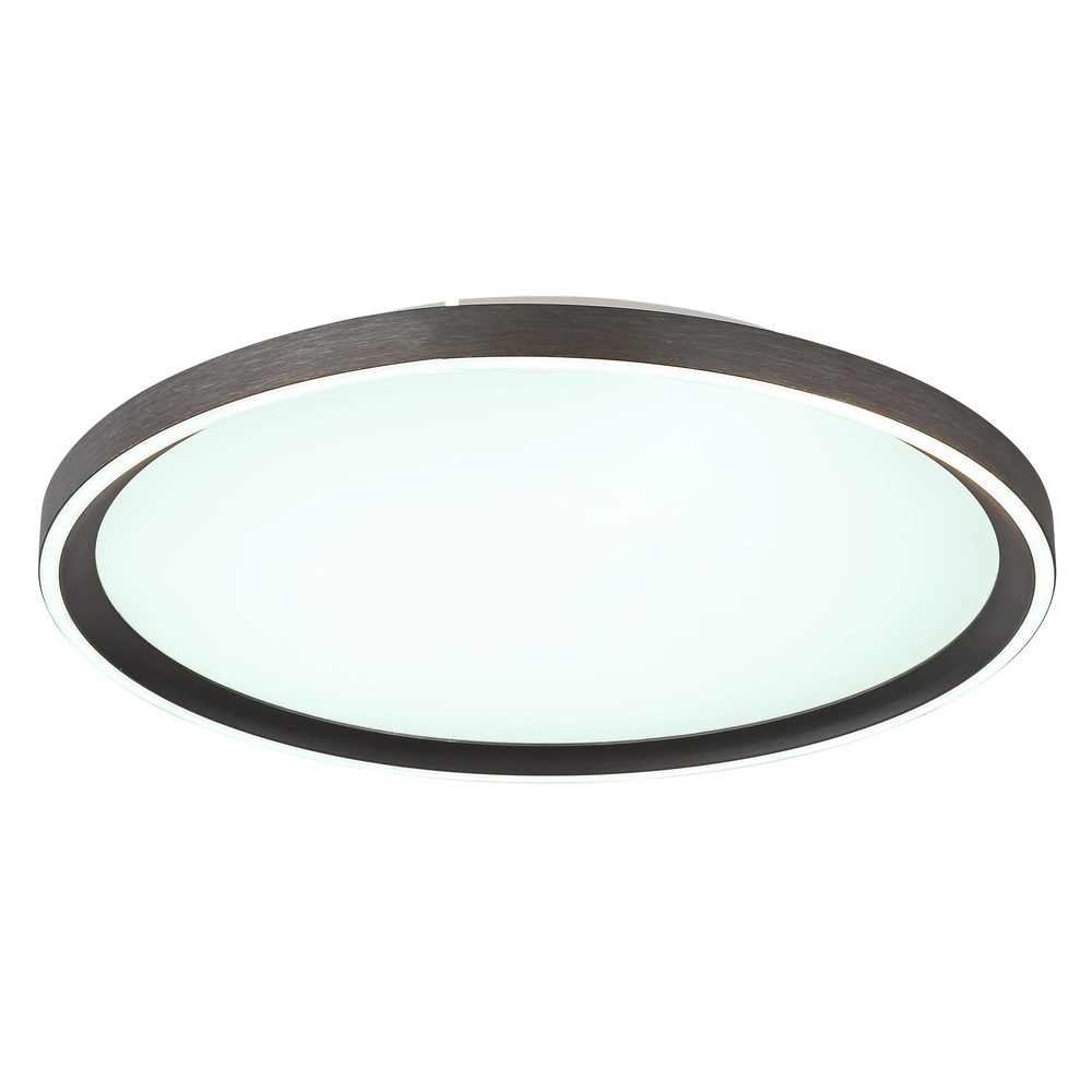 Schlanke Deckenlampe Dublin Ø 40cm grau Globo 9007371447084
