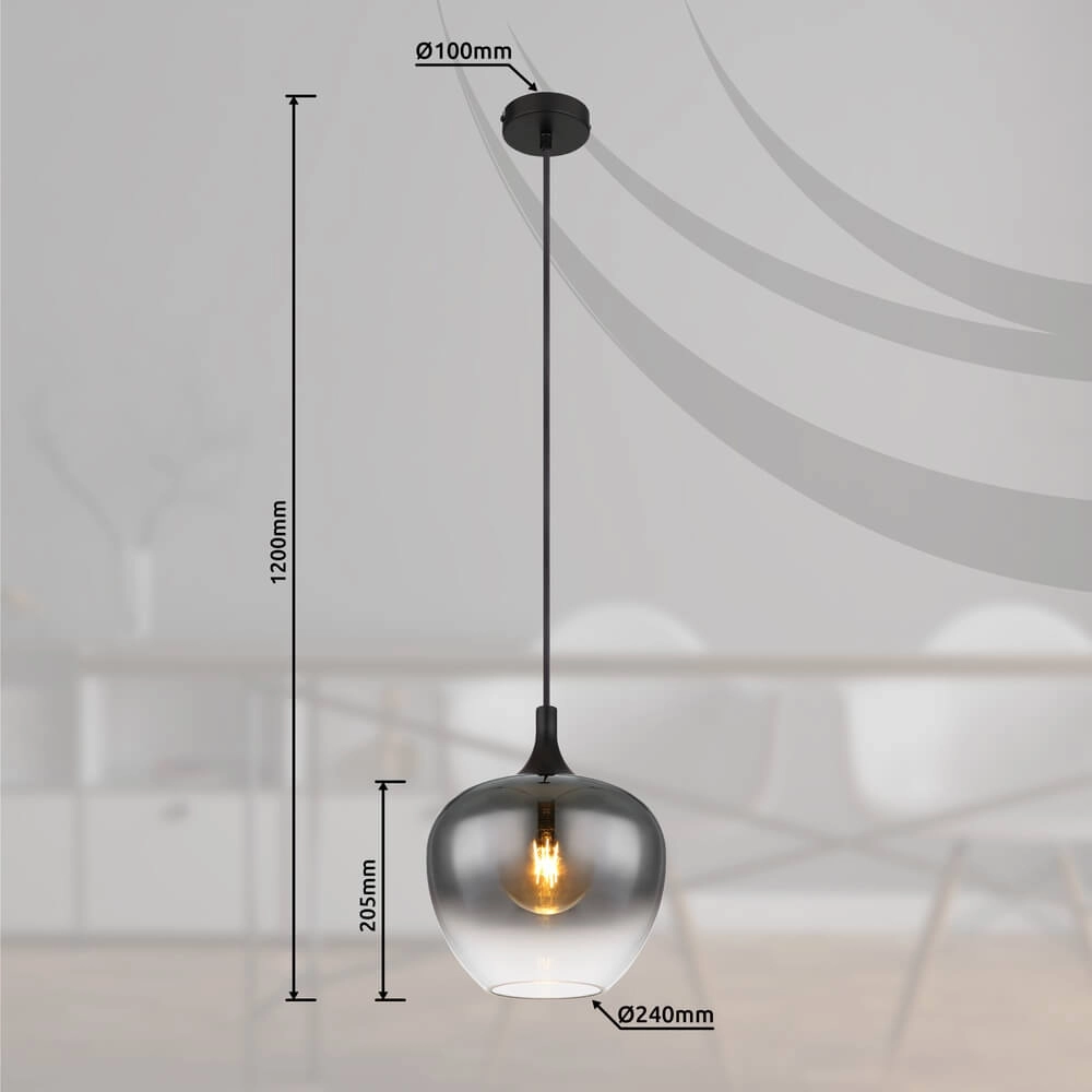 Schwarze Pendelleuchte Maxy Einzel Ø 24cm Globo 9007371438396