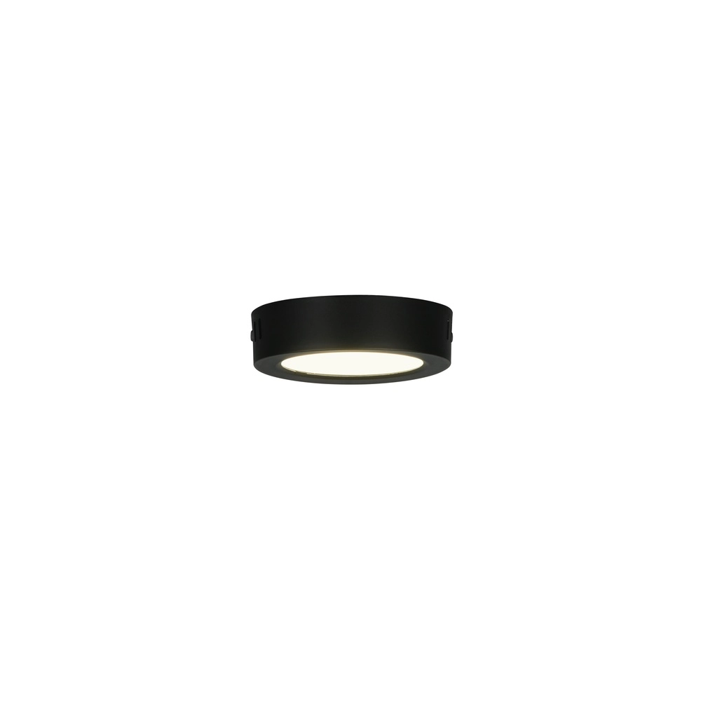 Deckenlampe Laru Ø 12 cm schwarz Trio 4017807711509