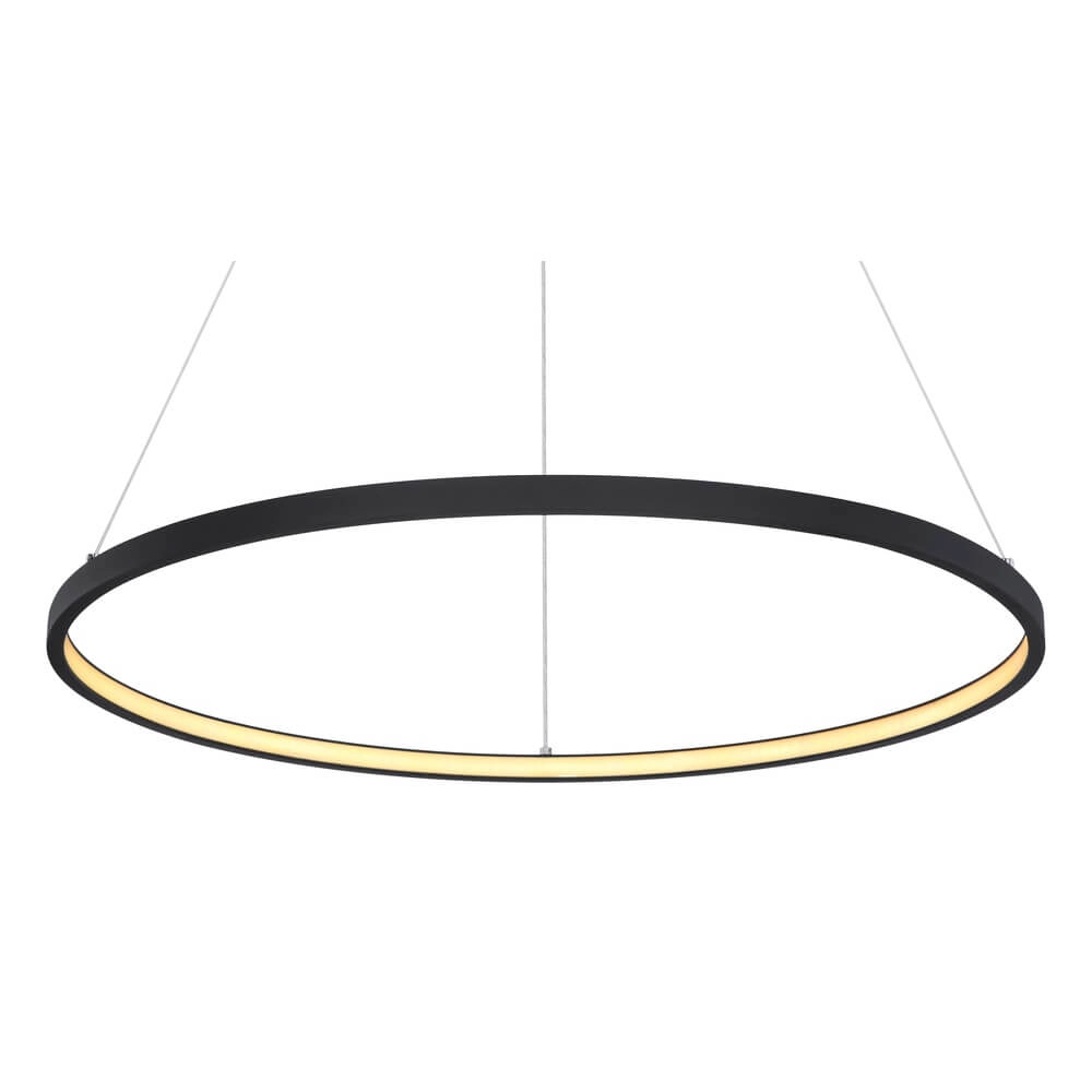 Schlanke Pendelleuchte Ralph rund Ø 60,5cm Globo 9007371410972