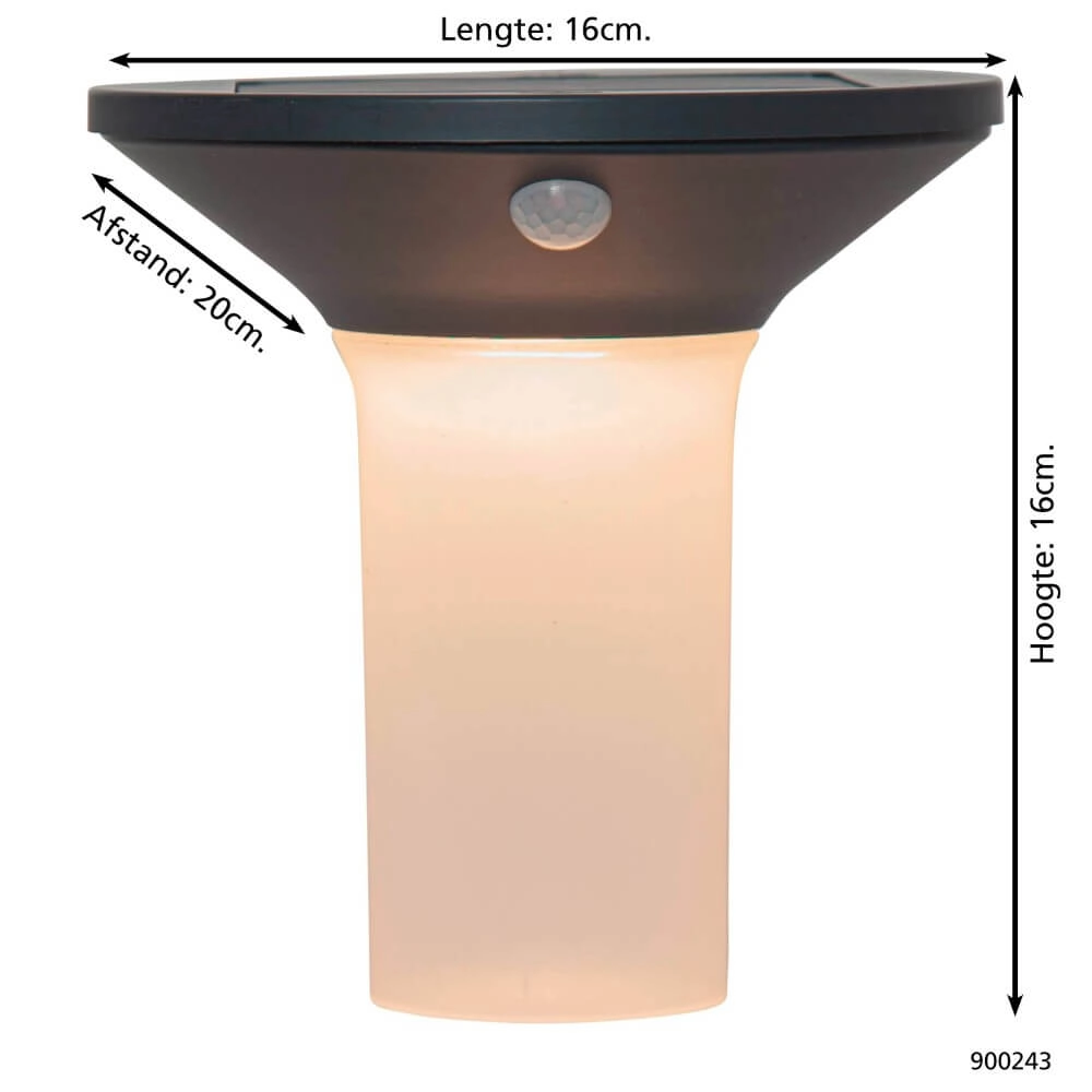 Solarlampe Corbezzola mit Bewegungssensor Eglo 9008606230020