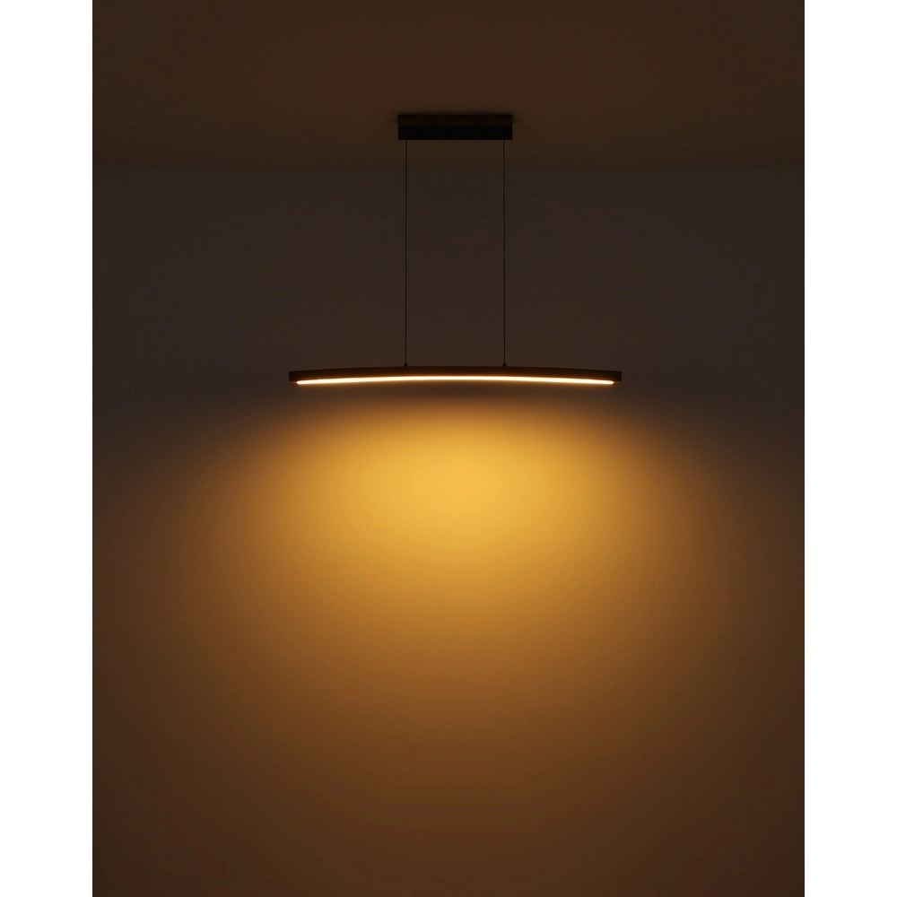 Design-Pendellampe Doro Graphit Globo 9007371434688