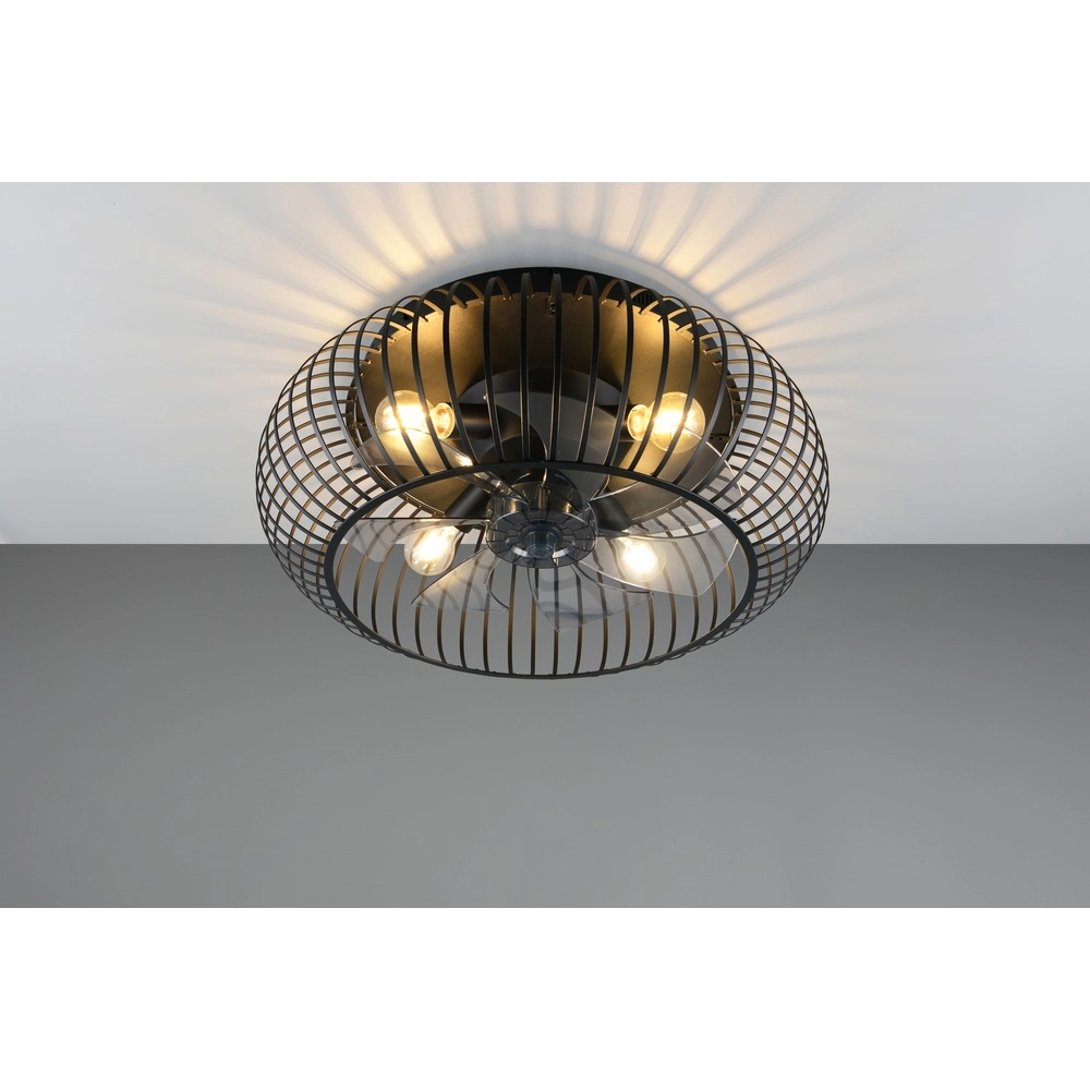 Schwarzer Fächer Johanna Ø 61cm Trio 4017807688115