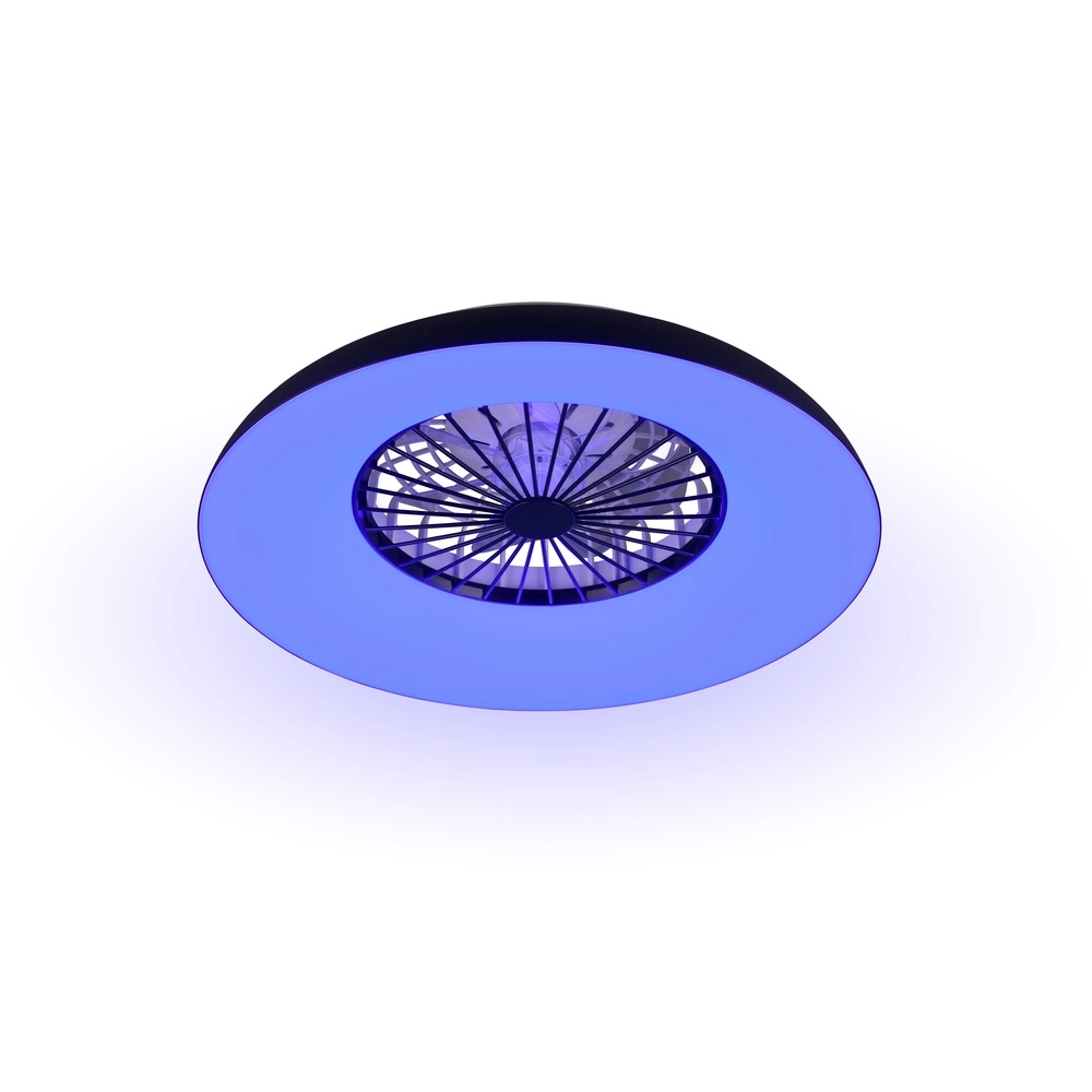 Designventilator Svaerholt schwarze Ø 60cm mit RGB-Funktion Trio 4017807688795