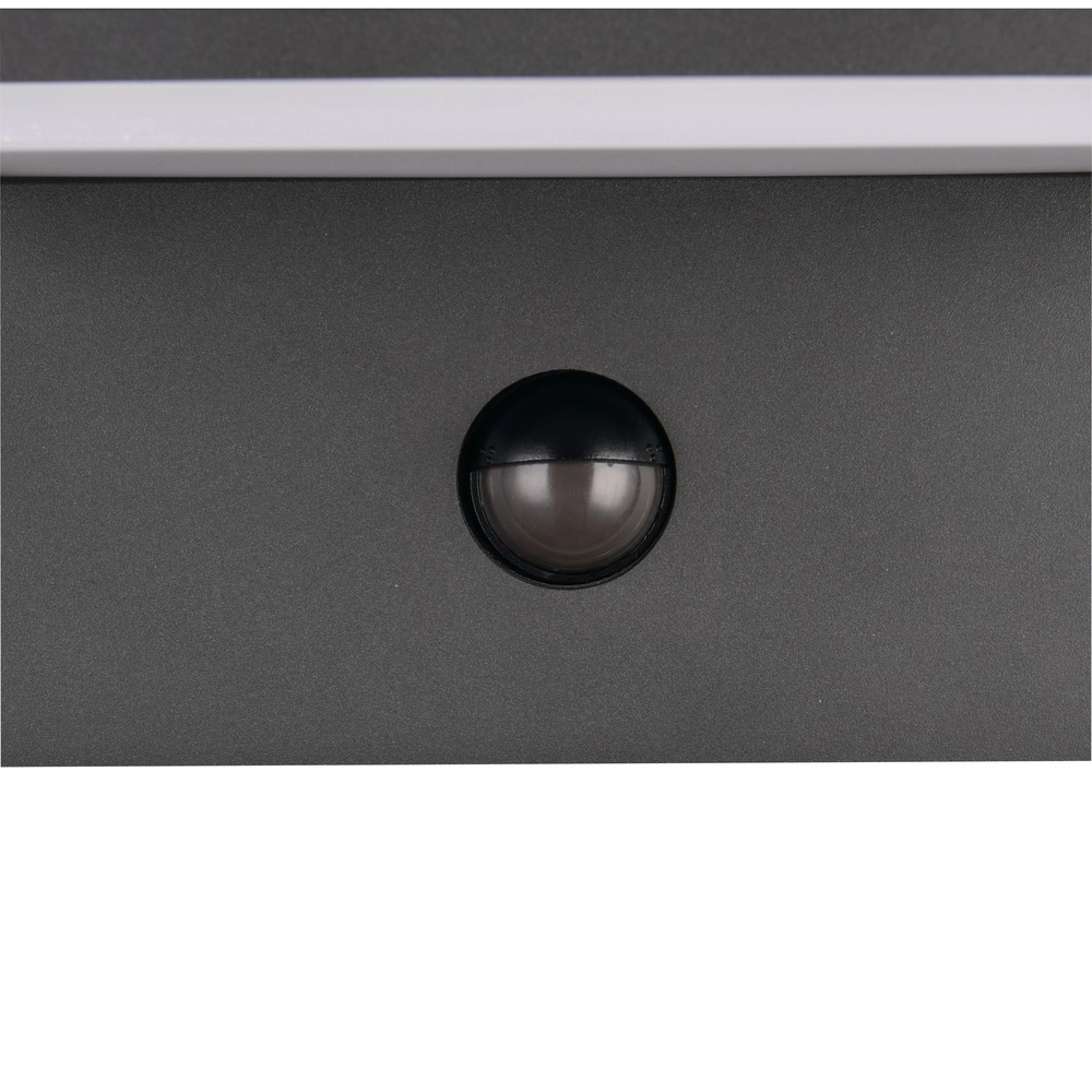 Moderne Wandlampe Ravi Anthrazit mit Sensor Trio 4017807686890