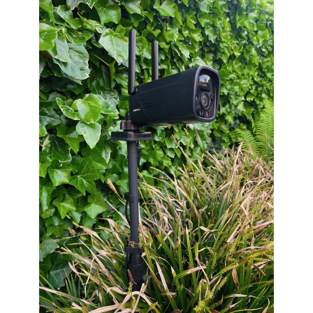 Schwarz Multispike 40 bis 60 cm Lightpro 8719979284459