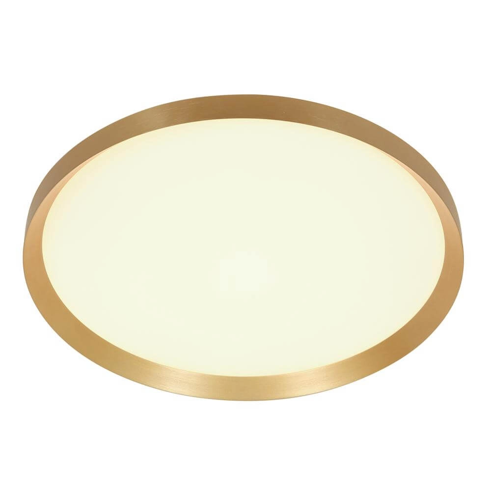 Schlanke Deckenleuchte Flady gold Ø 50cm Steinhauer 8712746171853