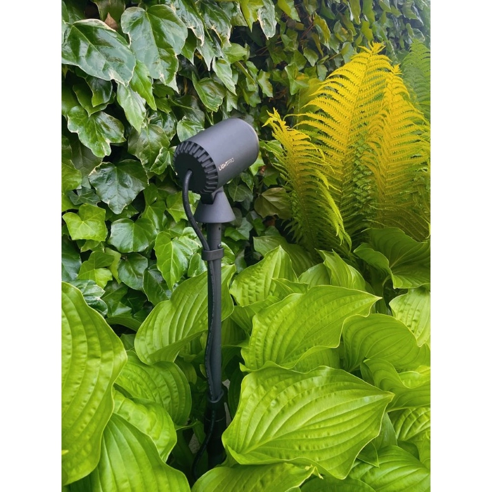 Schwarz Multispike 40 bis 60 cm Lightpro 8719979284459