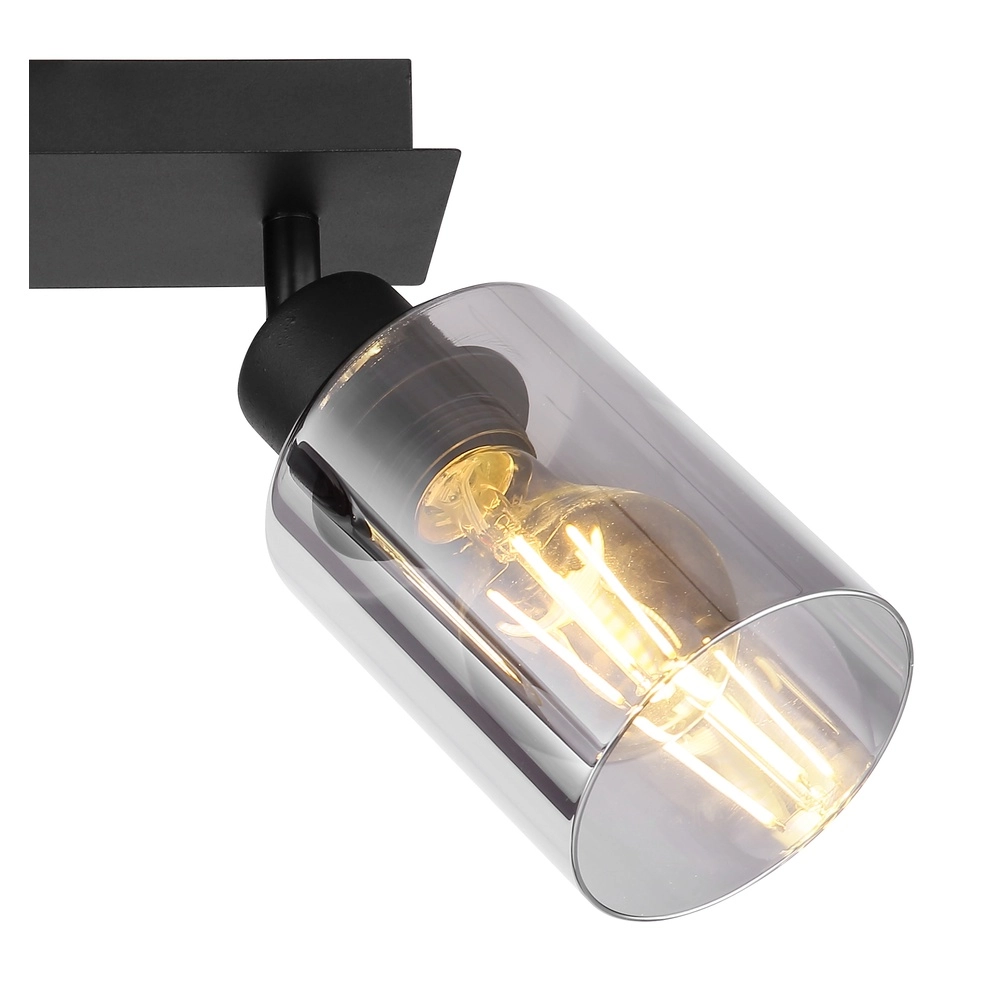 Deckenlampe Hadera 2-Licht Schwarz mit Rauchglas Globo 9007371440214