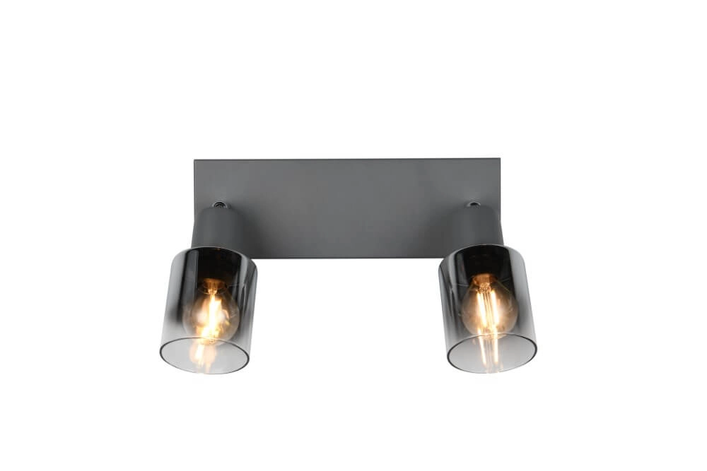2-flammige Deckenleuchte Cadiz Schwarz Trio 4017807615760