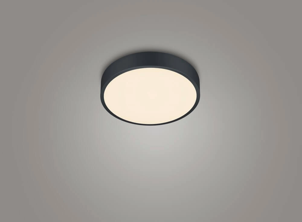 Schwarze Deckenlampe Waco Ø 31cm Trio 4017807525014