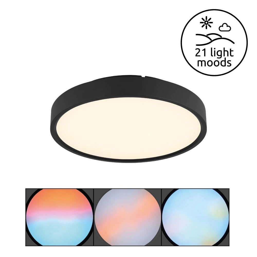 Deckenlicht Jess Schwarz Globo 9007371592470