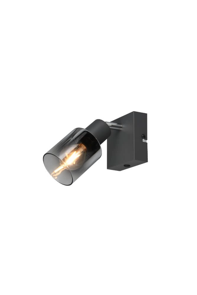 Schwarze Wandlampe Cadiz mit Rauchglas Trio 4017807615753
