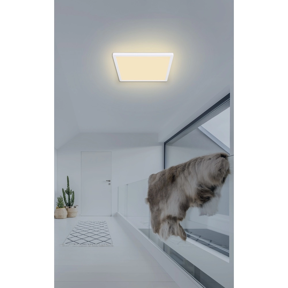 Deckenlicht Sapana Quadrat 29,4 cm weiß Globo 9007371402403