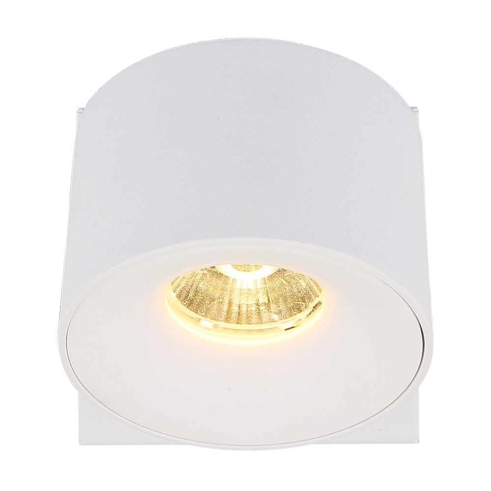 Elegante Wandlampe Rae Weiß Globo 9007371459636