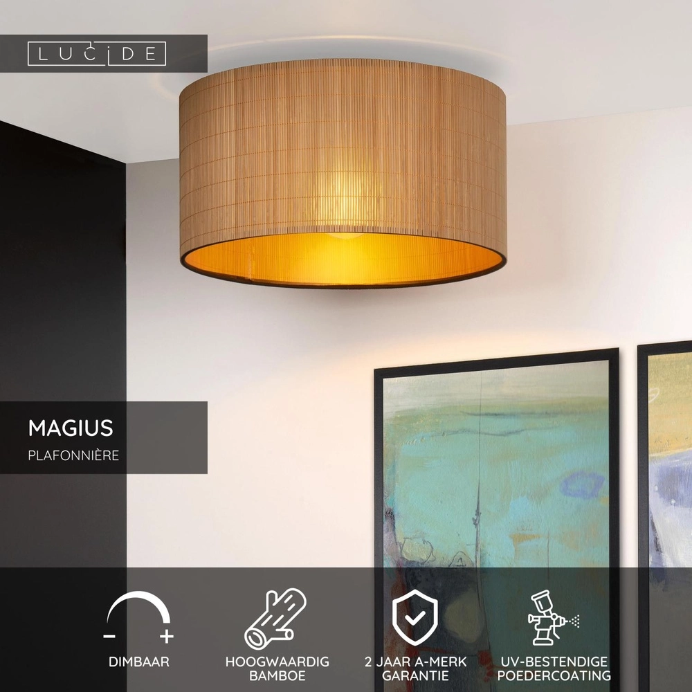 Deckenlampe Magius Rattan Lucide 5411212031143