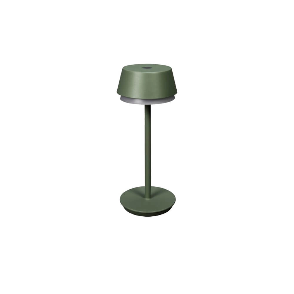 Table lamp Lyon mint green with RGB function