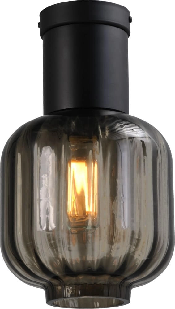 Deckenleuchte Lett lll 20 cm schwarz mit Rauchglas