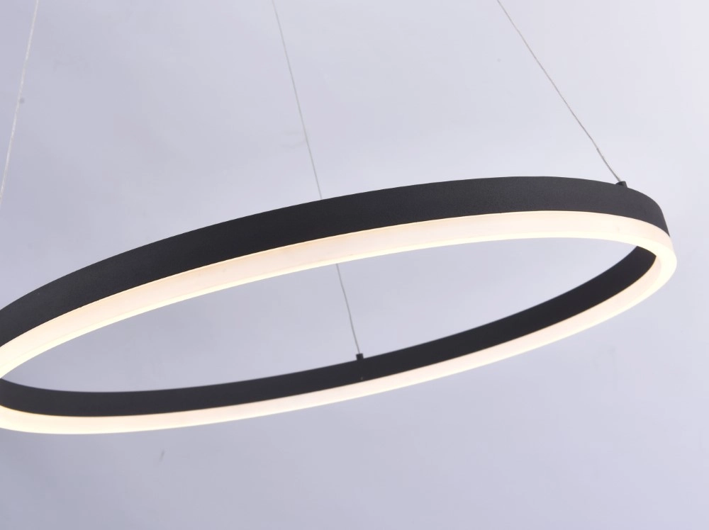 LED Hängelampe Titus Ø 60cm Paul Neuhaus 4012248305157