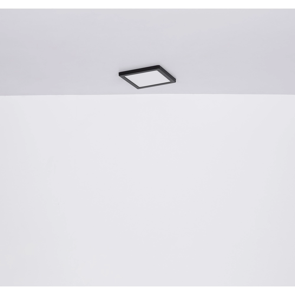 Design-Deckenlicht Lasse Quadratschwarz 16,7 cm Globo 9007371439898