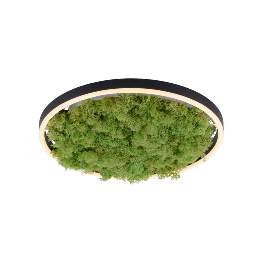 Deckenleuchte Green Ritus mit Moos Ø 39,3cm Just Light 4043689994792