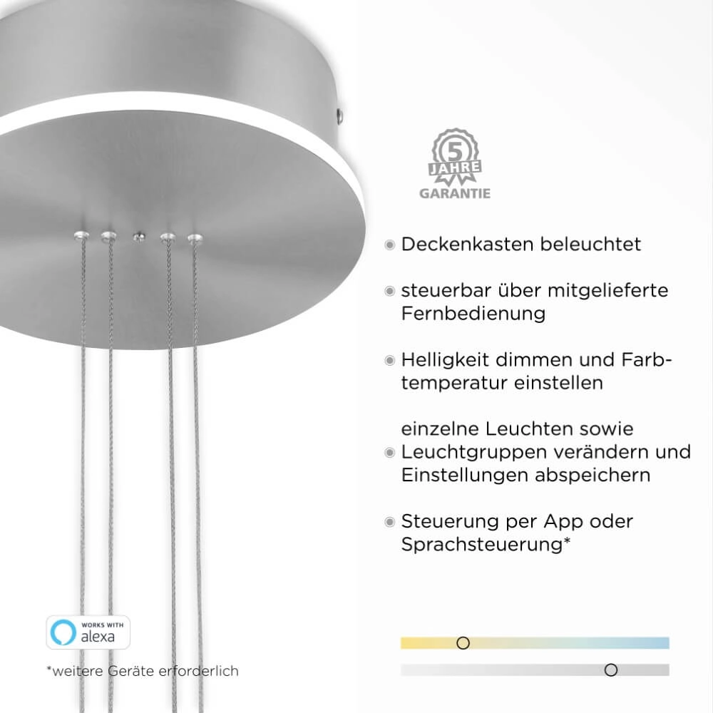 Design-Hängelampe Q-Etienne Metall Paul Neuhaus 4012248350386