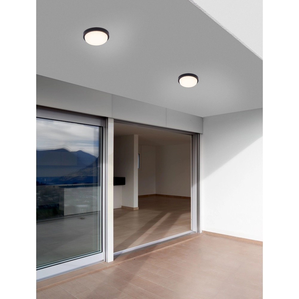 Deckenlampe Reo schwarz Ø 23,5cm Lyora 5212017453310