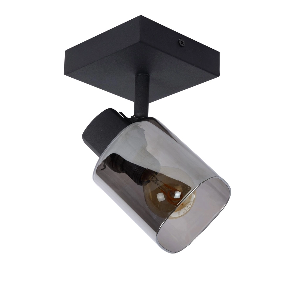 Deckenlampe Alion Einzelne schwarze mit Rauchglas