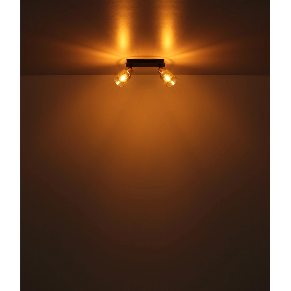 2-Licht Deckenlampe Hollsy Schwarz mit Rauchglas Globo 9007371445851