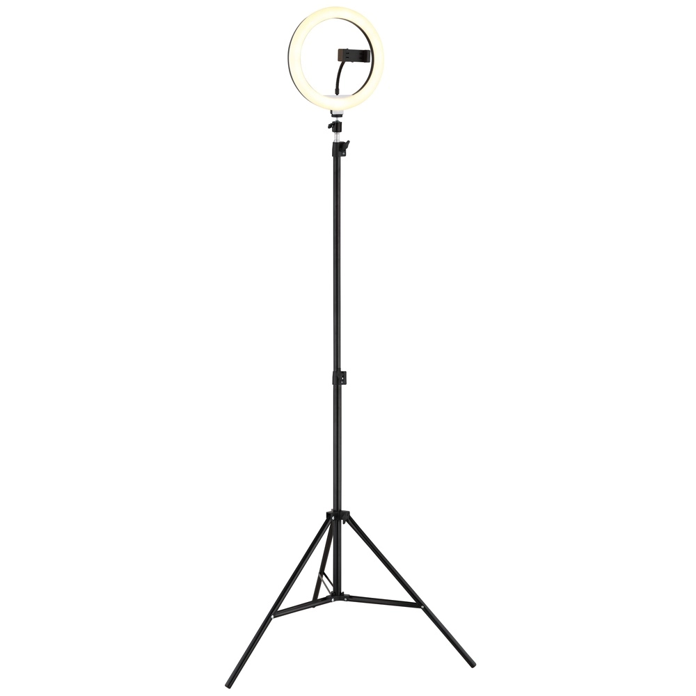 Ringlicht Delgado Schwarz Globo 9007371583454