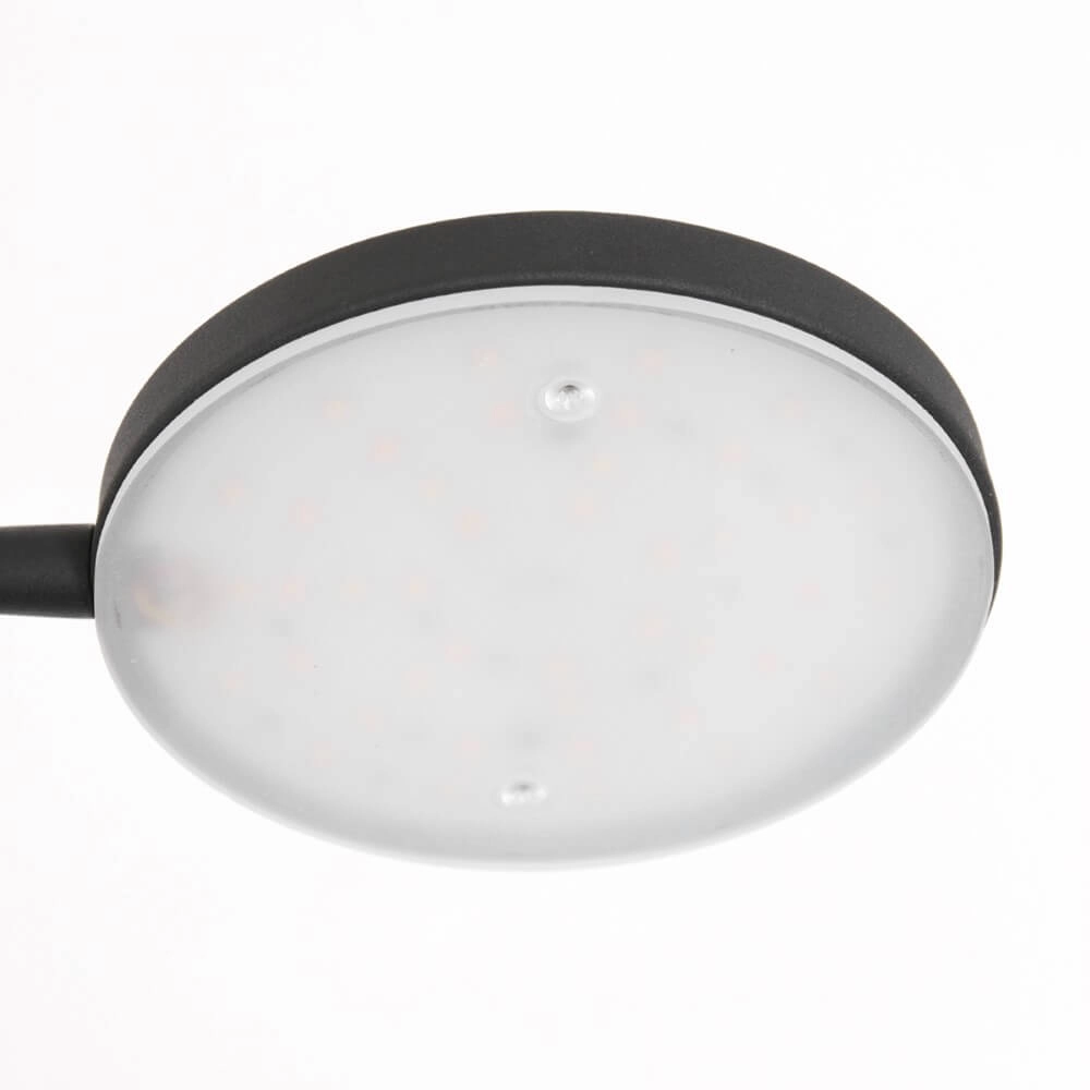 Flexible LED-Leselampe Platu Schwarz Steinhauer 8712746151510