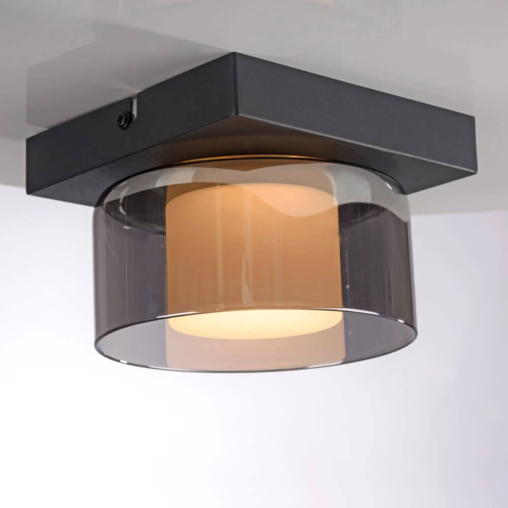 Schwarze Deckenleuchte Rika 1-helles Schwarz Paul Neuhaus 4012248385012
