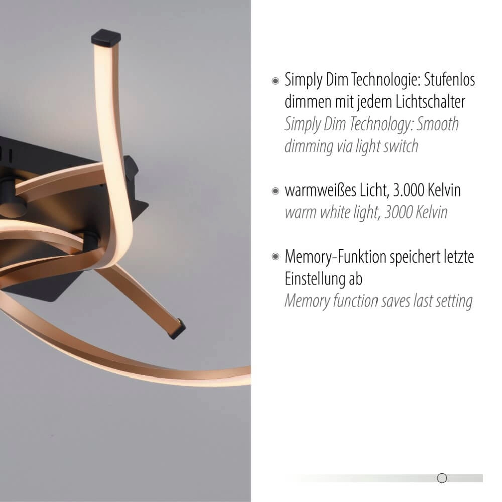 Designer-Deckenleuchte Polina Paul Neuhaus 4012248371732