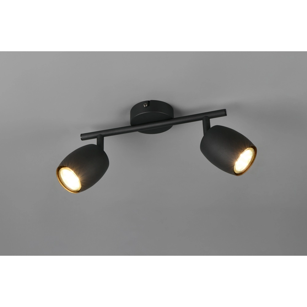 Deckenlampe Nancy 2-flammig schwarz Trio 4017807656602