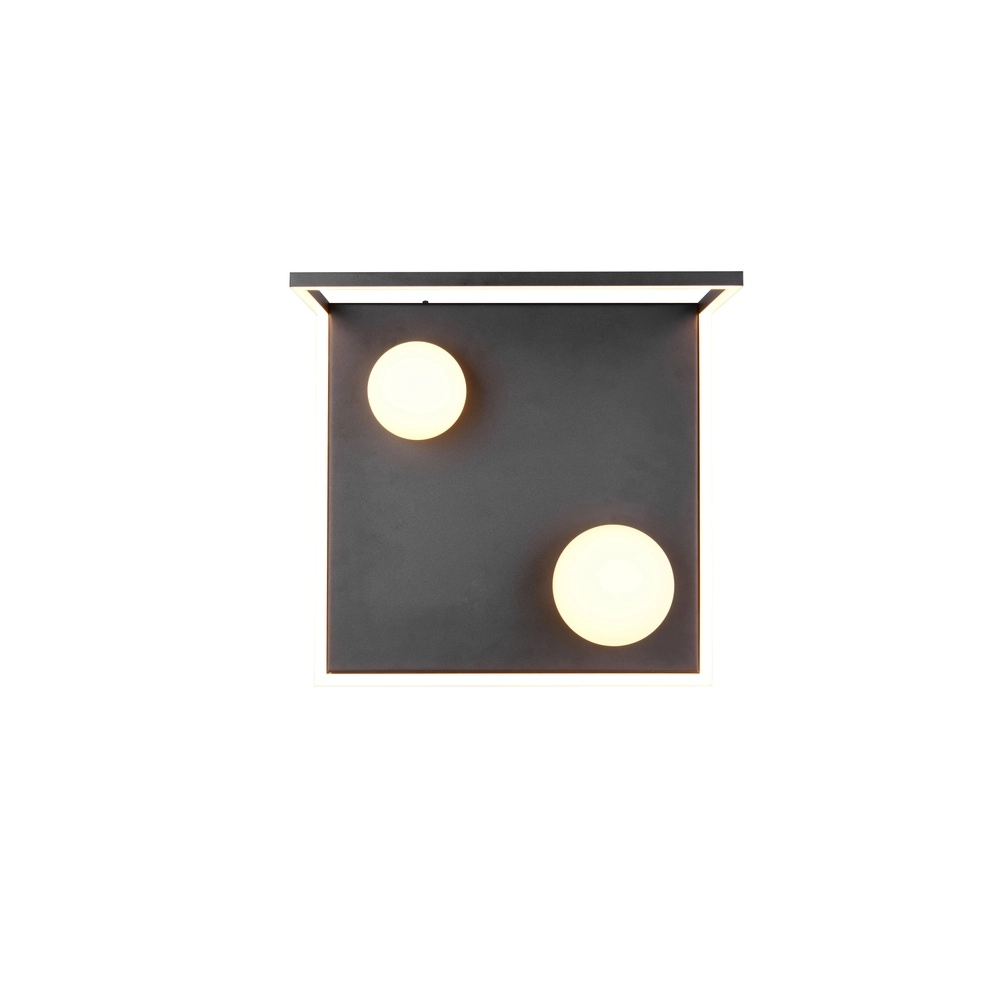 Design-Deckenlampe Arola Schwarz Trio 4017807683578